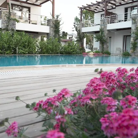 Genc Bodrum